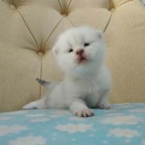 斗哥操个大逼逼。
